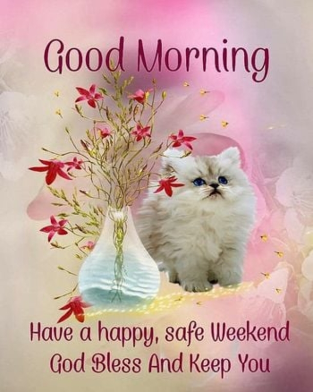 Happy Morning! Here's 10 Good Morning Quotes To Start A Beautiful Day - picture 3