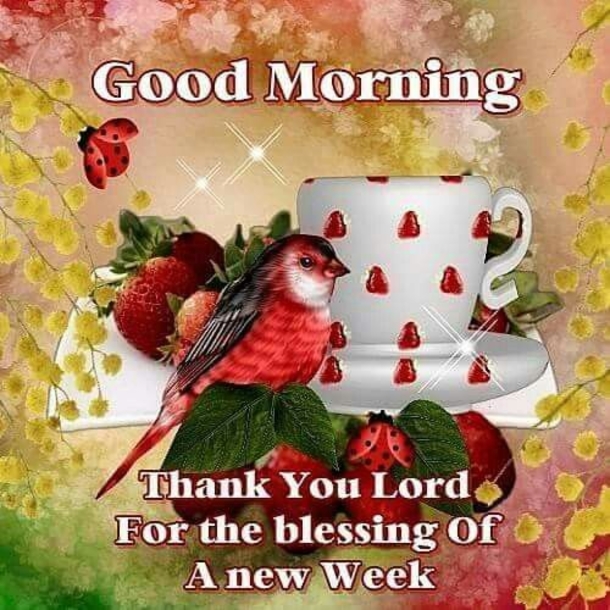 Happy New Week Blessings For Your Family & Friends - picture 11