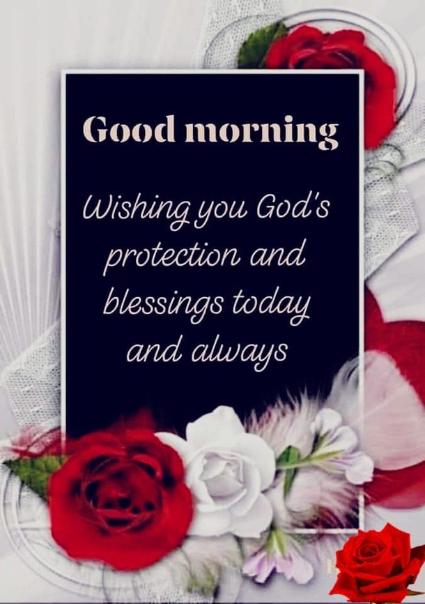 Happy Saturday Quotes To Celebrate A Beautiful New Weekend - picture 10