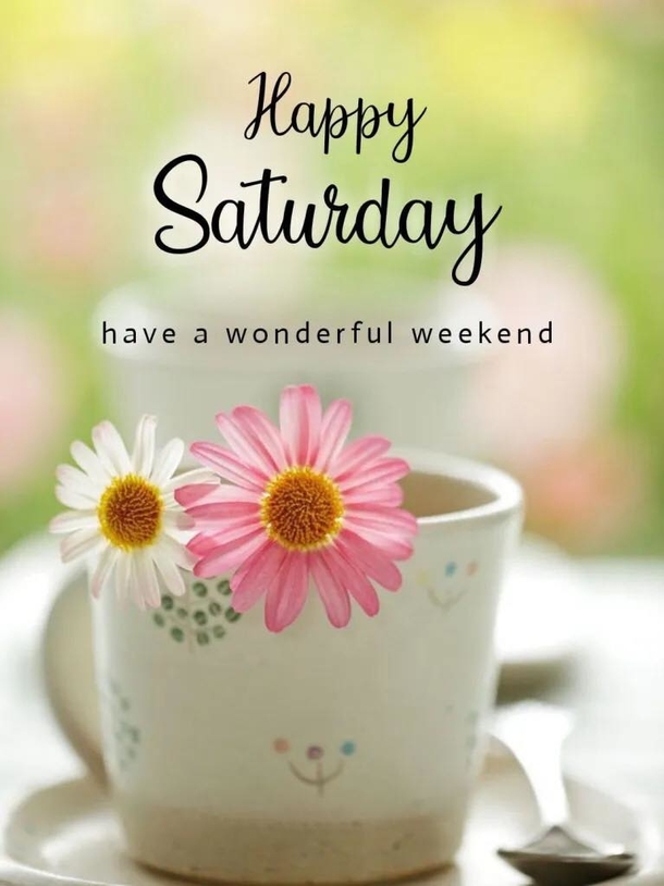 Happy Saturday Quotes To Celebrate A Beautiful New Weekend - picture 12