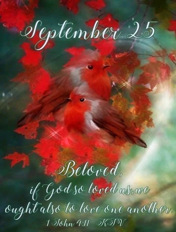 Happy September 25! Here's A Few Beautiful, Inspiring Quotes Of The Day - picture 6