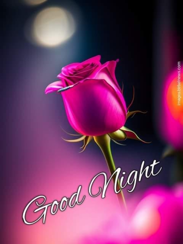 Happy Sleeping: 10 Good Night Images With Quotes For A Perfect Rest - picture 3