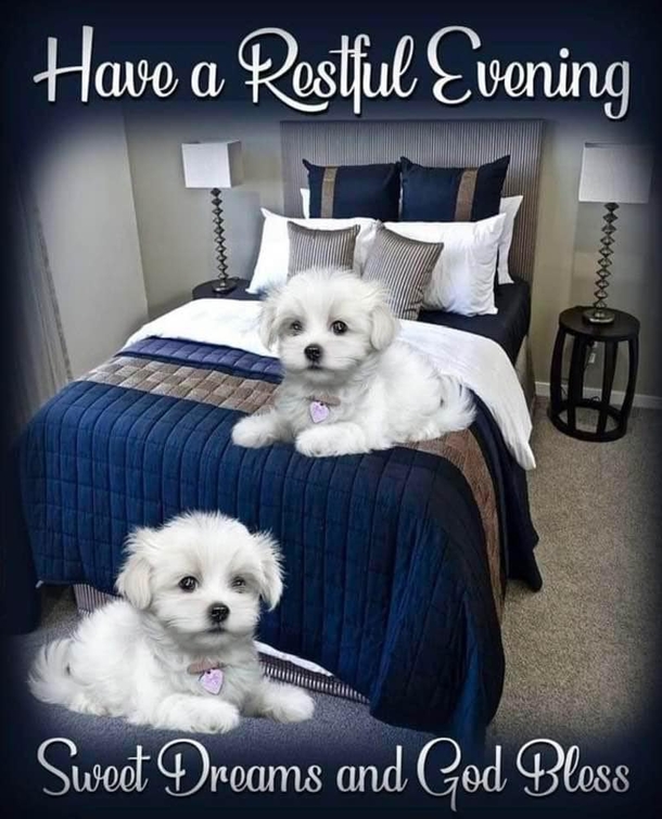 Happy Sleeping: 10 Good Night Images With Quotes For A Perfect Rest - picture 9