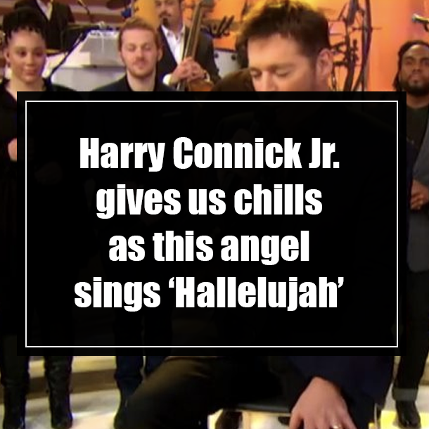 Harry Connick Jr. gives us chills as this angel sings ‘Hallelujah’