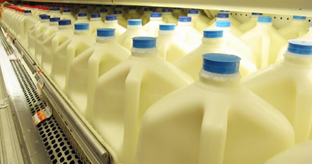 Harvard Scientist Urges People to Stop Drinking “Low-Fat” Milk - picture 2