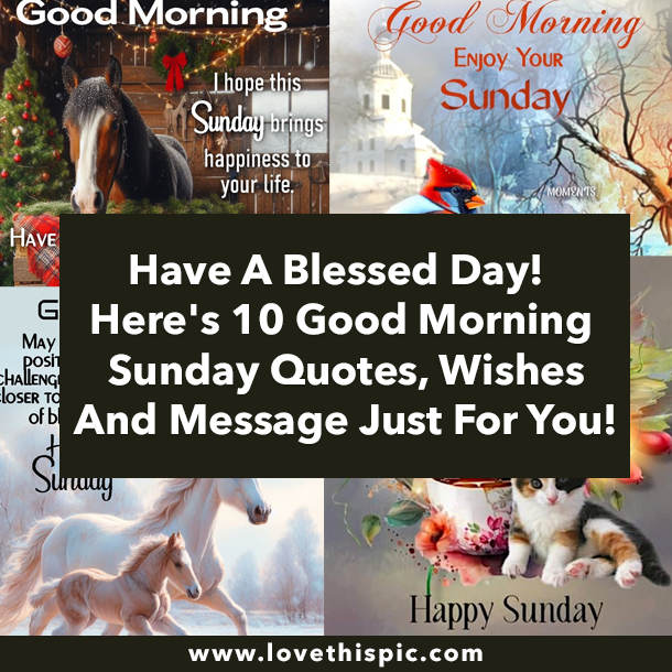 Have A Blessed Day! Here's 10 Good Morning Sunday Quotes, Wishes And Message Just For You!