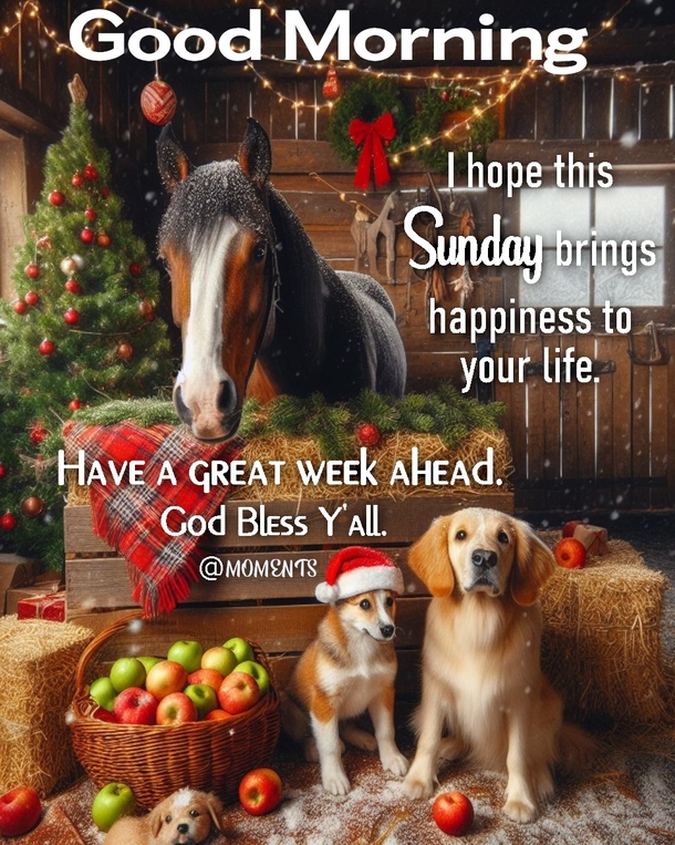 Have A Blessed Day! Here's 10 Good Morning Sunday Quotes, Wishes And Message Just For You! - picture 3