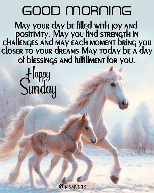 Have A Blessed Day! Here's 10 Good Morning Sunday Quotes, Wishes And Message Just For You! - picture 4