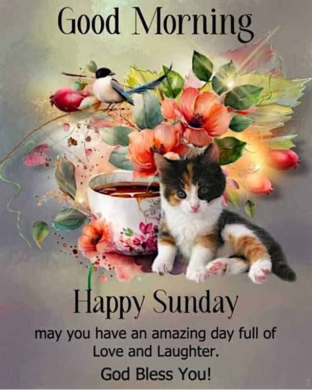 Have A Blessed Day! Here's 10 Good Morning Sunday Quotes, Wishes And Message Just For You! - picture 5