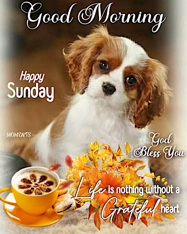 Have A Blessed Day! Here's 10 Good Morning Sunday Quotes, Wishes And Message Just For You! - picture 6