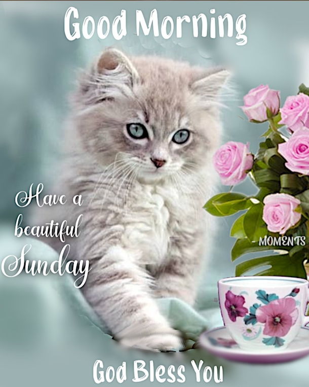 Have A Blessed Day! Here's 10 Good Morning Sunday Quotes, Wishes And Message Just For You! - picture 7