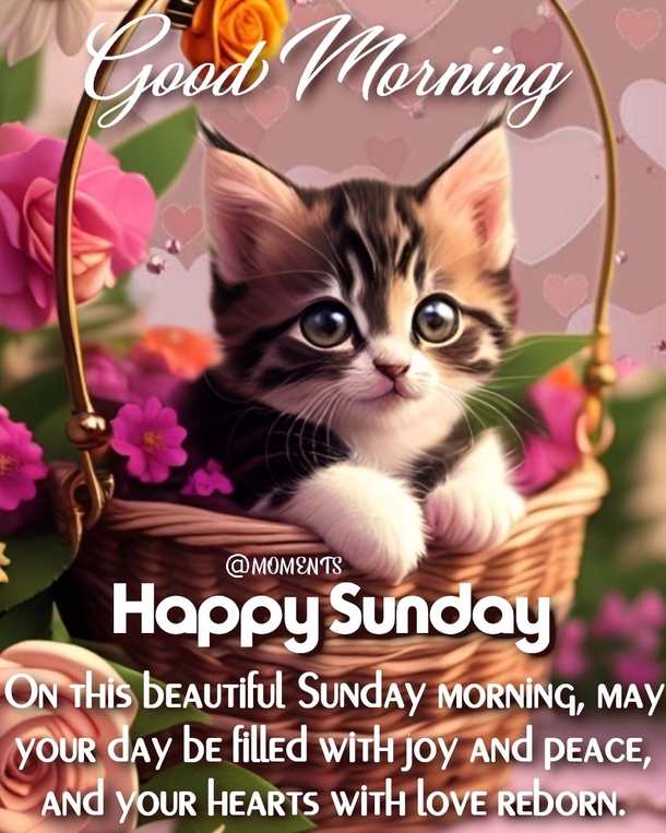 Have A Blessed Day! Here's 10 Good Morning Sunday Quotes, Wishes And Message Just For You! - picture 8