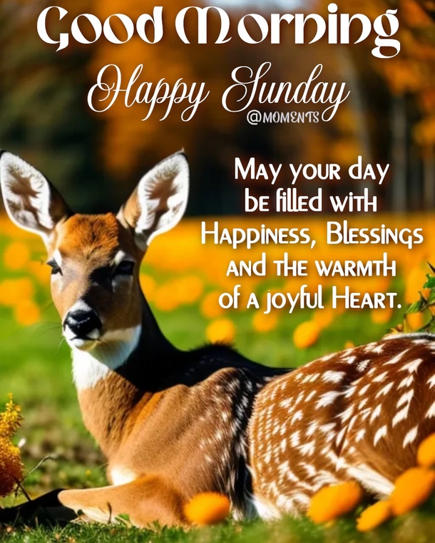 Have A Blessed Day! Here's 10 Good Morning Sunday Quotes, Wishes And Message Just For You! - picture 9