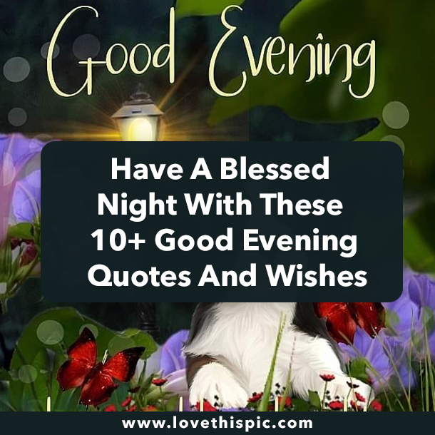 Have A Blessed Night With These 10+ Good Evening Quotes And Wishes
