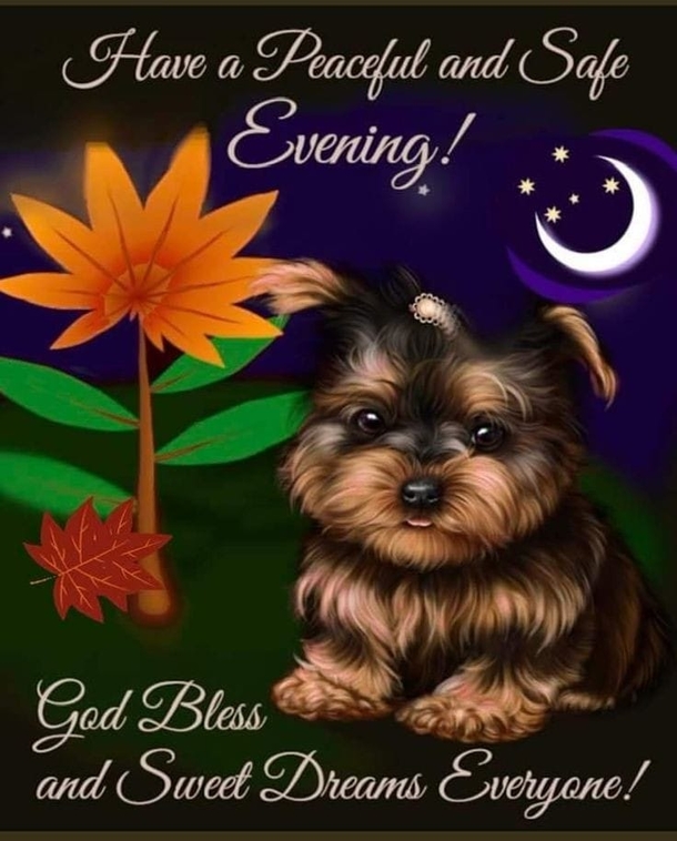 Have A Blessed Night With These 10+ Good Evening Quotes And Wishes - picture 11