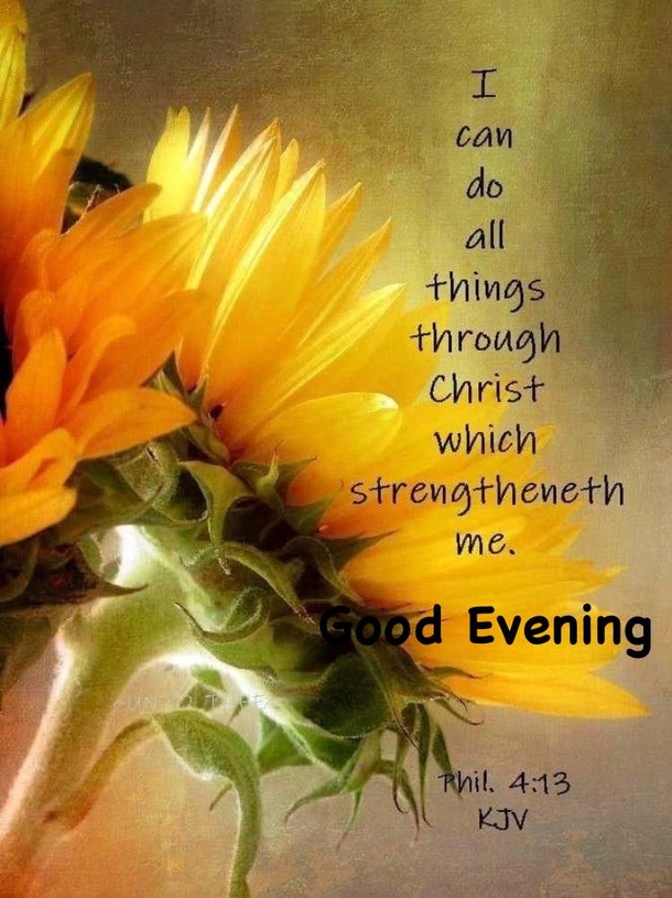 Have A Blessed Night With These 10+ Good Evening Quotes And Wishes - picture 13