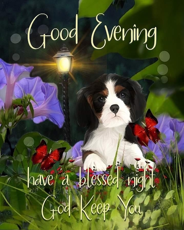 Have A Blessed Night With These 10+ Good Evening Quotes And Wishes - picture 2