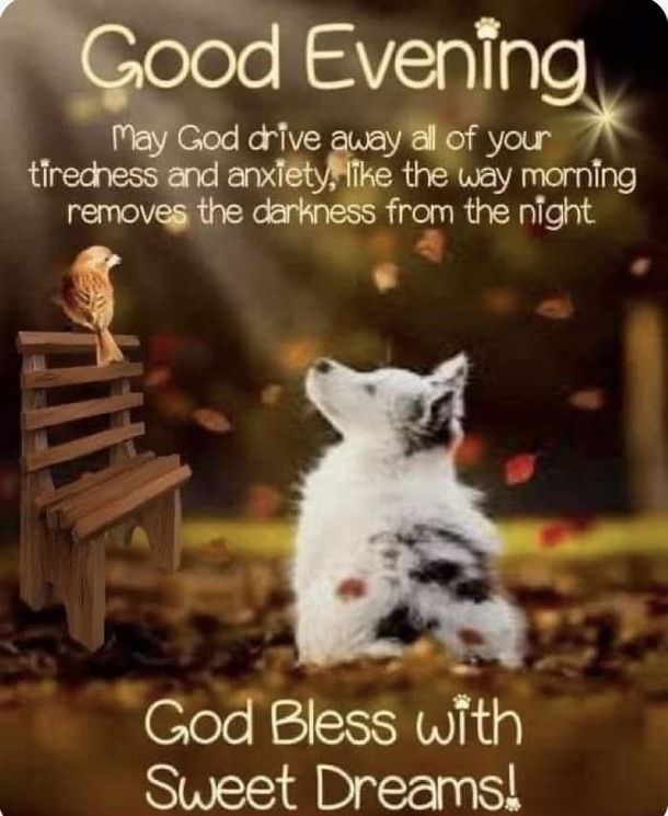 Have A Blessed Night With These 10+ Good Evening Quotes And Wishes - picture 4