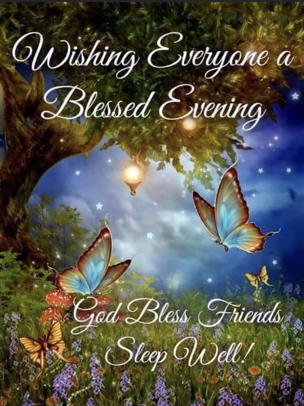 Have A Blessed Night With These 10+ Good Evening Quotes And Wishes - picture 5
