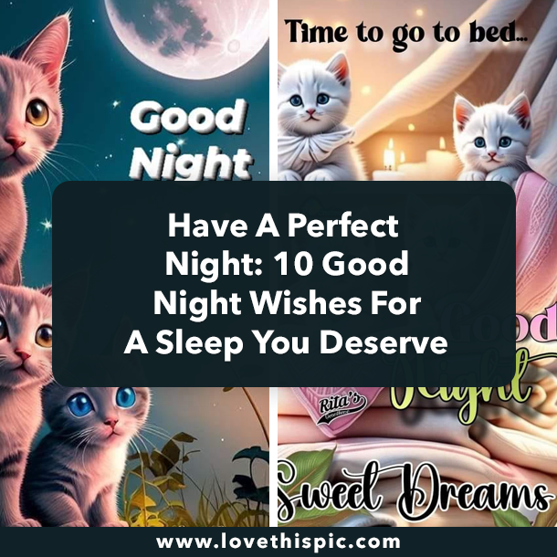 Have A Perfect Night: 10 Good Night Wishes For A Sleep You Deserve