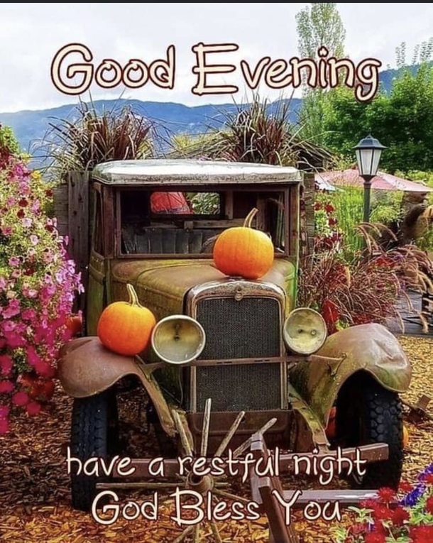 Have A Perfect Night: 10 Good Night Wishes For A Sleep You Deserve - picture 3