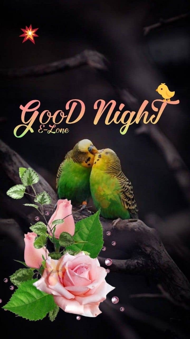 Have A Perfect Night: 10 Good Night Wishes For A Sleep You Deserve - picture 4