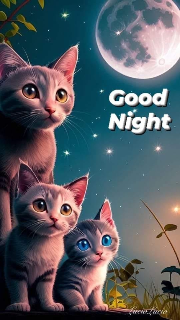 Have A Perfect Night: 10 Good Night Wishes For A Sleep You Deserve - picture 7