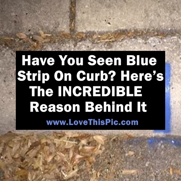 Have You Seen Blue Strip On Curb? Here’s The INCREDIBLE Reason Behind It.