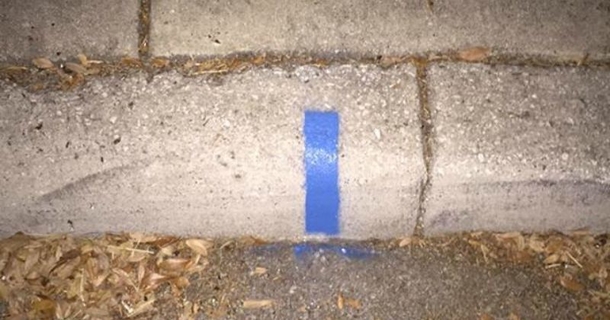 Have You Seen Blue Strip On Curb? Here’s The INCREDIBLE Reason Behind It. - picture 2