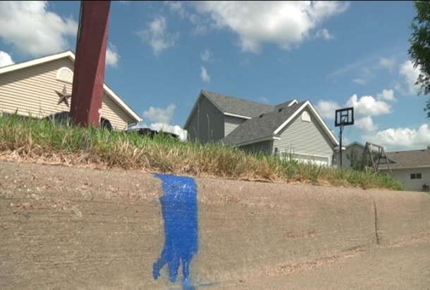 Have You Seen Blue Strip On Curb? Here’s The INCREDIBLE Reason Behind It. - picture 3