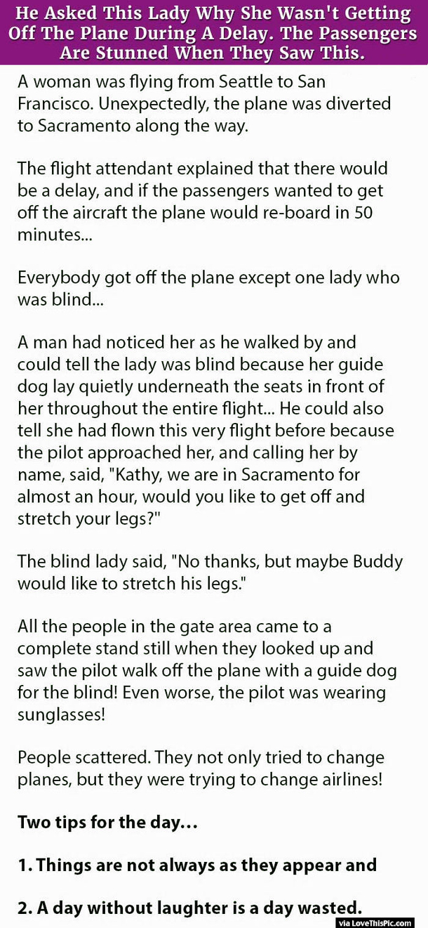He Asked This Lady Why She Wasn’t Getting Off The Plane During A Delay. The Passengers Are Stunned When They Saw This.