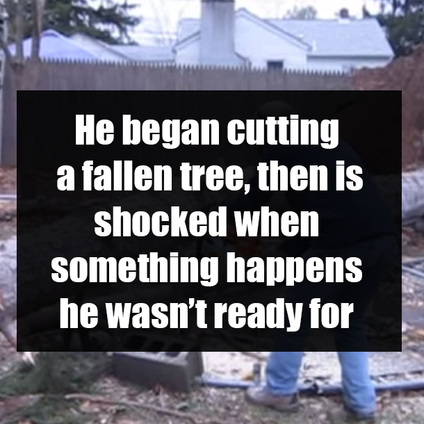 He began cutting a fallen tree, then is shocked when something happens he wasn’t ready for
