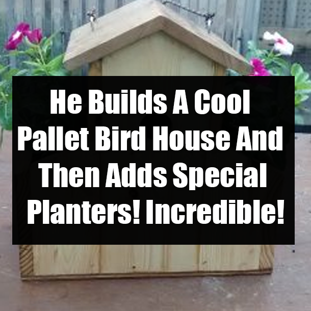 He Builds A Cool Pallet Bird House And Then Adds Special Planters! Incredible!