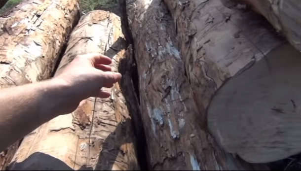 He Built A Self-Feeding Fire, But When It Starts Burning. WOW! I Didn't See That Coming... - picture 3