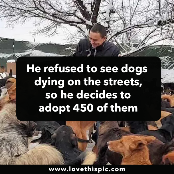 He couldn’t dare to see dogs dying on the streets, so he decides to adopt 450 of them