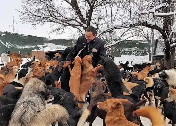 He couldn’t dare to see dogs dying on the streets, so he decides to adopt 450 of them - picture 2