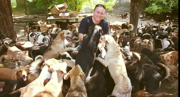 He couldn’t dare to see dogs dying on the streets, so he decides to adopt 450 of them - picture 4