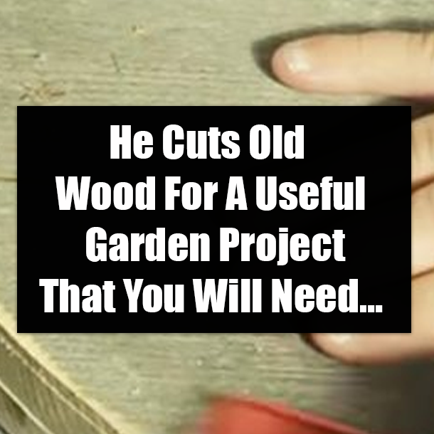 He Cuts Old Wood For A Useful Garden Project That You Will Need…