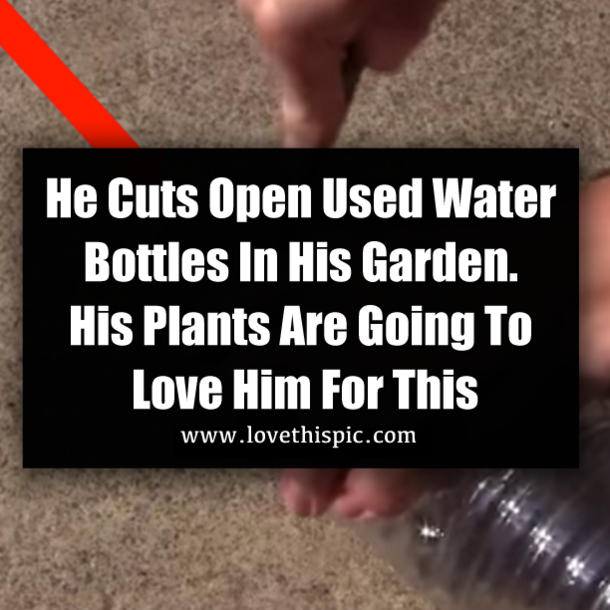 He Cuts Open Used Water Bottles In His Garden. His Plants Are Going To Love Him For This
