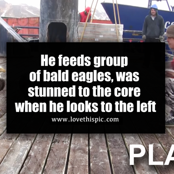 He feeds group of bald eagles, was stunned to the core when he looks to the left