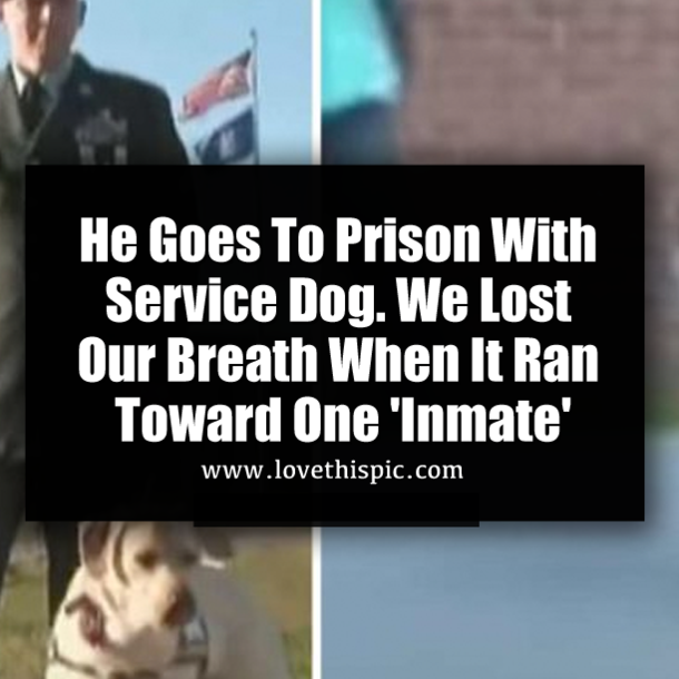 He Goes To Prison With Service Dog. We Lost Our Breath When It Ran Toward One 'Inmate'