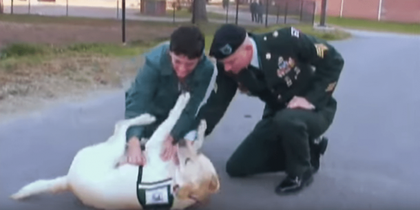 He Goes To Prison With Service Dog. We Lost Our Breath When It Ran Toward One 'Inmate' - picture 3