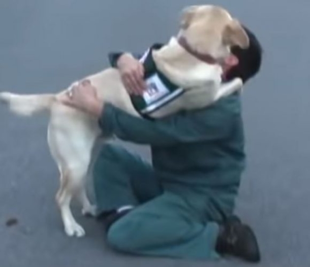 He Goes To Prison With Service Dog. We Lost Our Breath When It Ran Toward One 'Inmate' - picture 4