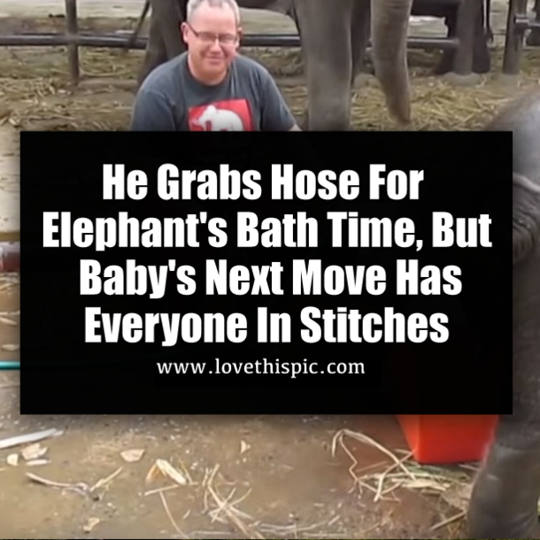 He Grabs Hose For Elephant's Bath Time, But Baby's Next Move Has Everyone In Stitches
