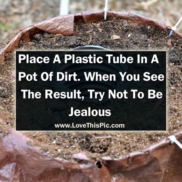 He Places A Plastic Tube In A Pot Of Dirt And When You See The Result. WOW! Try Not To Be Jealous.