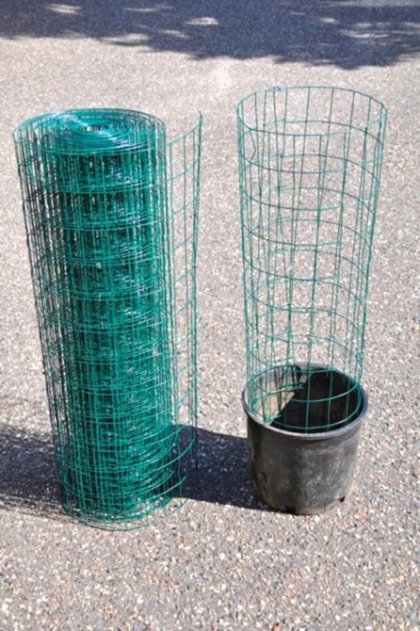 He Places A Plastic Tube In A Pot Of Dirt And When You See The Result. WOW! Try Not To Be Jealous. - picture 3