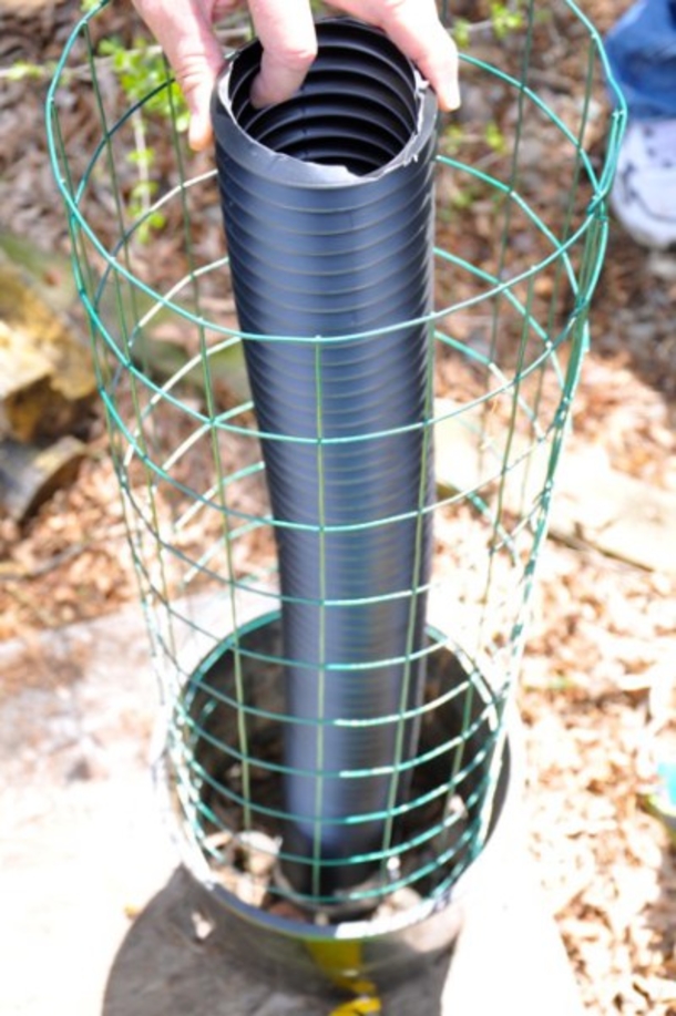 He Places A Plastic Tube In A Pot Of Dirt And When You See The Result. WOW! Try Not To Be Jealous. - picture 5