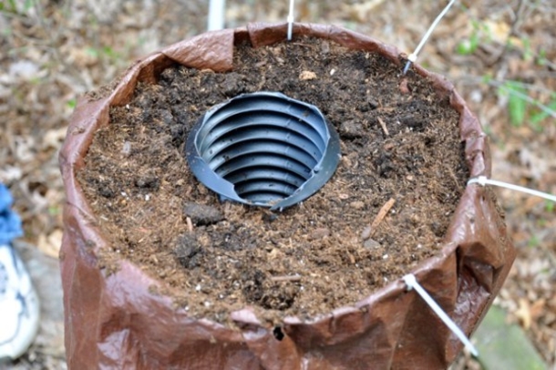 He Places A Plastic Tube In A Pot Of Dirt And When You See The Result. WOW! Try Not To Be Jealous. - picture 6