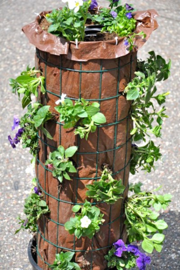 He Places A Plastic Tube In A Pot Of Dirt And When You See The Result. WOW! Try Not To Be Jealous. - picture 7