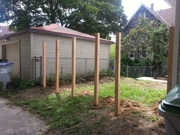 He Put 6 Poles In The Ground, But The End   Results Are Stunning! - picture 3